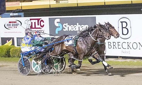 Perfect Stride, outer, is loafing as Star Hunter comes at him late in tonight’s semi-final at Bendigo. PHOTO: Stuart McCormick.