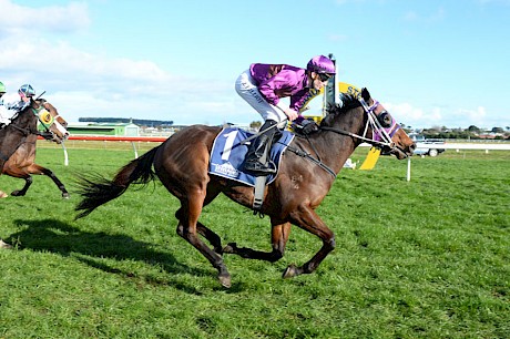 Lincoln Dreamer sustains a long run to sweep past his rivals at Wanganui. PHOTO: Peter Rubery/Race Images.