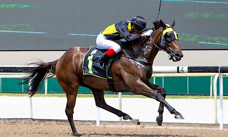 Lincoln Moonlight streaks clear at Kranji on Sunday. PHOTO: TriPeaksImagery.