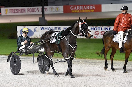 Bettor My Dreamz was very impressive winning at his last start. PHOTO: Joel Gillan/Race Images.