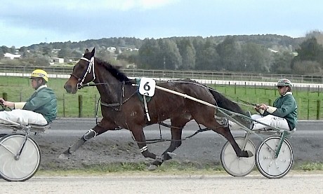 The Empress striding out at the Pukekohe workouts.