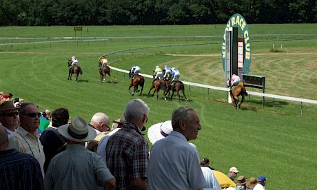 On Saturday Lincoln’s Command races at Kilcoy, a tiny, turning track 150km north west of Brisbane.