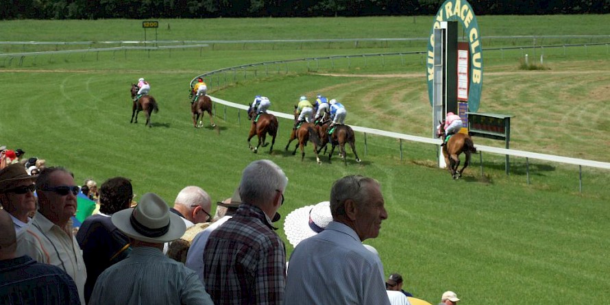 On Saturday Lincoln’s Command races at Kilcoy, a tiny, turning track 150km north west of Brisbane.