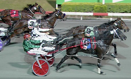 Northview Hustler, outer, has come to the end of his run and is pipped by Leos Best last Saturday night.