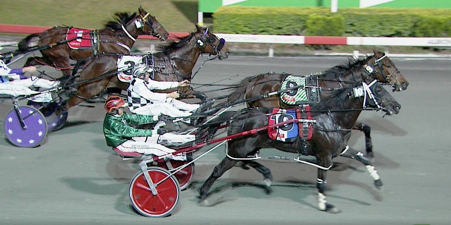 Northview Hustler, outer, has come to the end of his run and is pipped by Leos Best last Saturday night.
