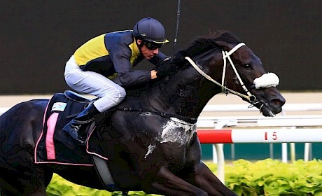 Lucky Lincoln … needs more racing to get fit.