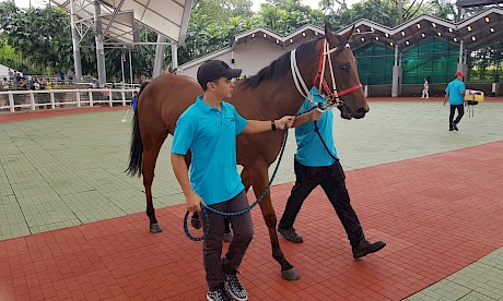 On The Razz has really improved and he will be extremely hard to beat.
