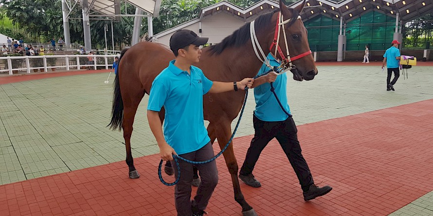 On The Razz has really improved and he will be extremely hard to beat.