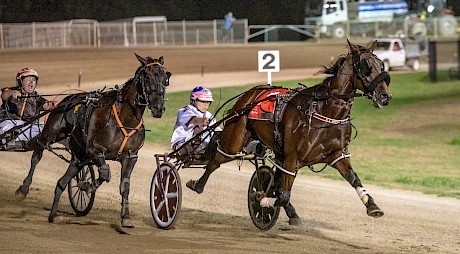 Vasari won 11 races in Australia. PHOTO: Ashlea Brennan.