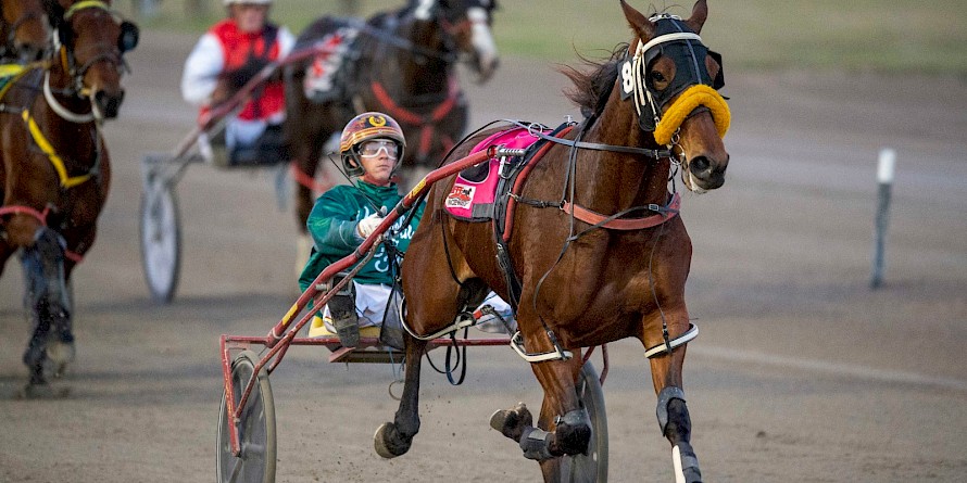 Vasari leaves Queensland in peak form and is expected to thrive over strong miles in New York. PHOTO: Michael McInally.