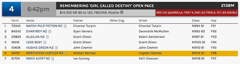 Northview Hustler races at 8.42pm NZ time at Albion Park on Saturday night.