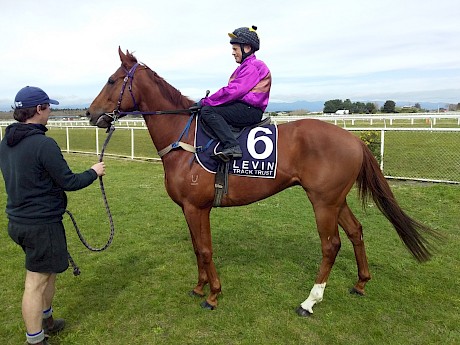 Lincoln Green pictured before his trial at Foxton today.