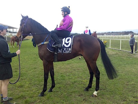 Robbie Hannam was all smiles before Platinum Road’s heat today but left ruing his bad luck afterwards.