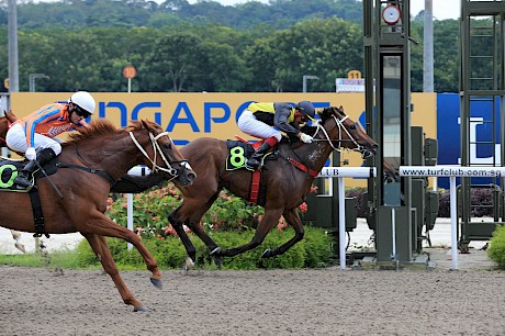 Both of Pratt Street’s wins have been on the polytrack. PHOTO: TriPeaksImagery.