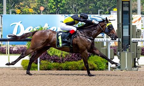 Lincoln Moonlight was impressive in this maiden win at Kranji last month. PHOTO: TriPeaksImagery.