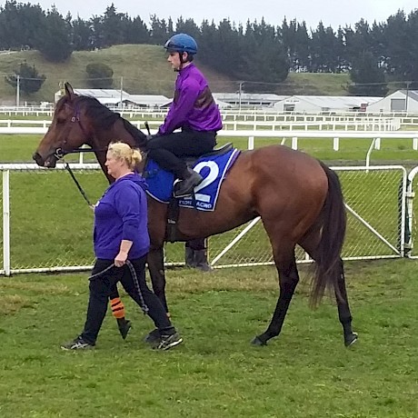 Lincoln Raider parading with Tim Johnson up before his trial.