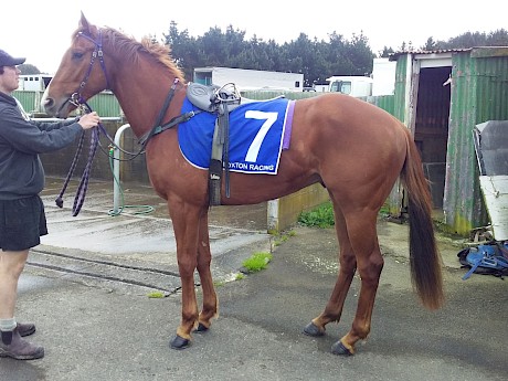 Benny Lincoln pictured before his encouraging run today.