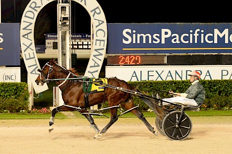 Copy That scored impressive back-to-back wins at Auckland in June. PHOTO: Race Images.