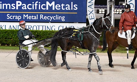 Zachary Butcher brings Line Up back after his impressive win at Auckland last week. PHOTO: Peter Rubery/Race Images.
