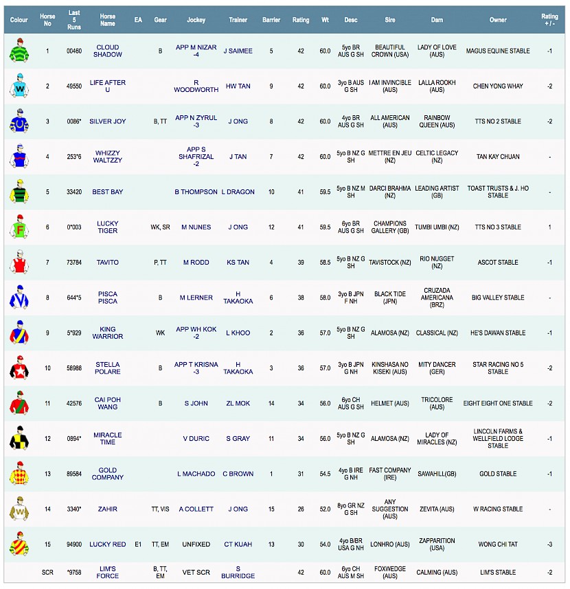 Miracle Time races at 7.40pm NZ time at Kranji on Sunday.