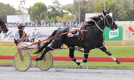 Trojan Banner went on a winning streak of seven in Brisbane. PHOTO: Dan Costello.