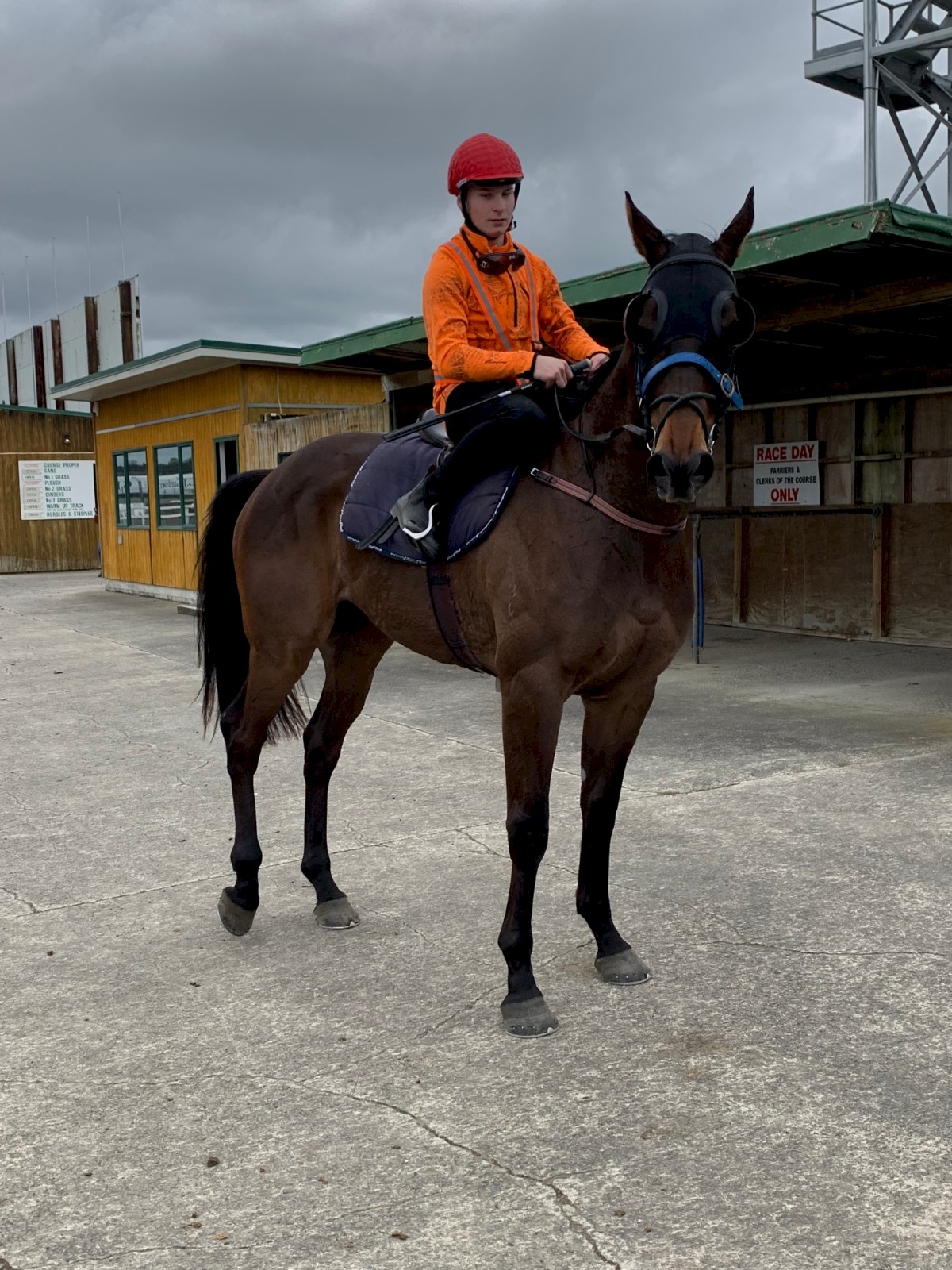 ‘Diesel’ on premium today as he takes Pukekohe jumpout with a minimum