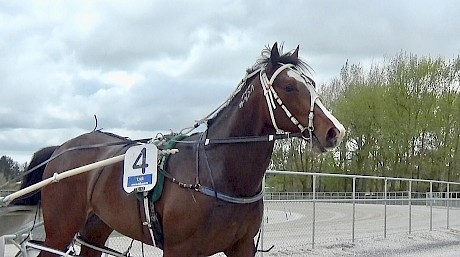 Larry Lincoln after qualifying in good time today.