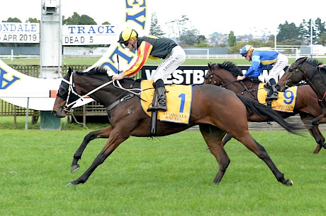 Lincoln King showed staying promise, winning at Avondale last April. PHOTO: Race Images.