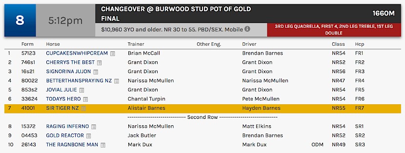 Sir Tiger races at 8.12pm NZ time at Albion Park on Friday night.