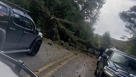 Lincoln Thunder was caught up in the traffic delays after a tree fell and blocked the road north of Warkworth.
