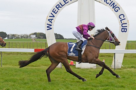 Princess Amelie strides clear at Waverley. PHOTO: Peter Rubery/Race Images.