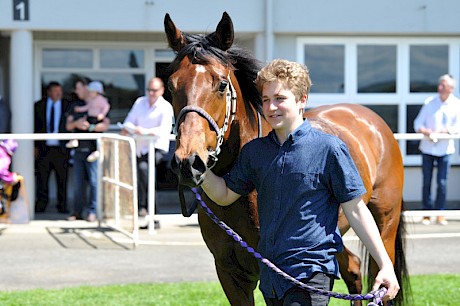 Josh Herd leads Father Lenihan after his brave win. PHOTO: Peter Rubery/Race Images.