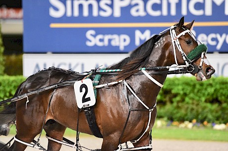 Make Way … beautifully drawn in one at Menangle on Tuesday.