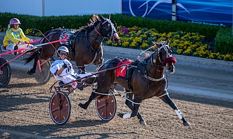 Ryan Sanderson has a big smile on his face as he scores an easy win on Make Way at Menangle today. PHOTO: Ashlea Brennan.