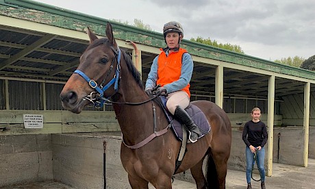 Sam Spratt takes Lincoln Springs out for his jumpout at Pukekohe on Monday.
