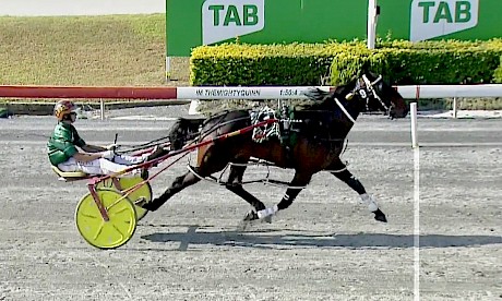 Sir Tiger (Hayden Barnes) never raised a sweat when winning on debut in Queensland.