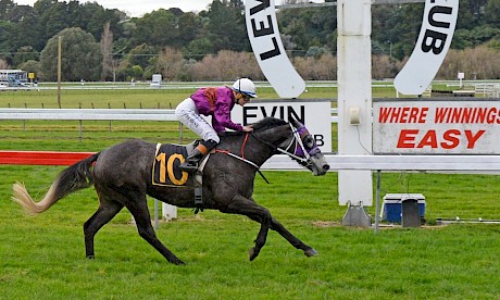 Heavy 11 conditions and it’s Platinum Volos by four lengths at Otaki in July. PHOTO: Peter Rubery/Race Images.
