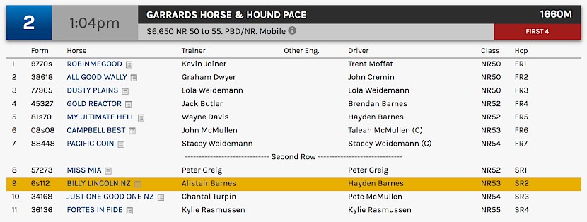 Billy Lincoln races at 4.04pm NZ time at Albion Park on Friday.