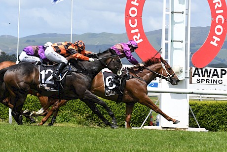 Lincoln Green refuses to give in, as Just Fabulous comes at him late. PHOTO: Peter Rubery/Race Images.