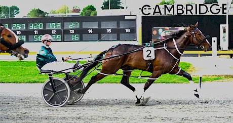 It was all too easy for Double Or Nothing the last time he raced at Cambridge. PHOTO: Phil Williams/Race Images.