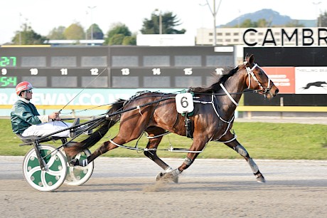 Hampton Banner … won easily but beat nothing at Cambridge. PHOTO: Chanelle Lawson.