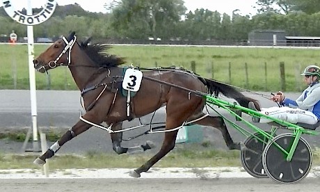 Tommy Lincoln, wearing spreaders, highballs in front at the Pukekohe workouts last Saturday.
