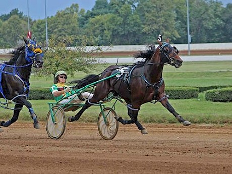 Captaintreacherous won the Pacer of the Year crown as a two-year-old and three-year-old.