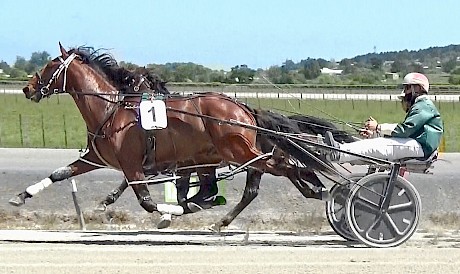 Leading Young Guns candidate Platinum Stride is pacing powerfully outside newcomer Old Town Road as they wind up for the dash home.
