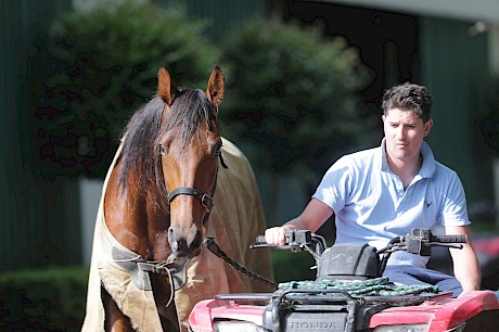 Andrew Drake with Ace Commander. PHOTO: Trish Dunell.