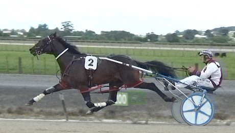 Krug shows his impressive long stride while leading today’s two-year-old heat at Pukekohe for Nathan Purdon.