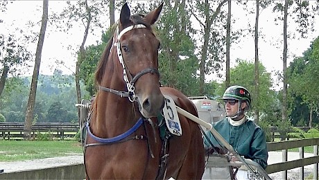 Lindi Lincoln going out for a quiet run at Pukekohe today.