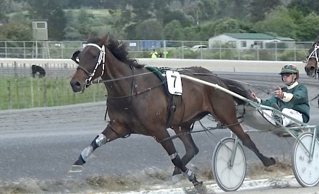 The Empress in full flight today for Andre Poutama.