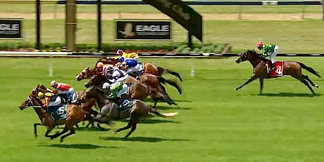 Lincoln King finishes best in a blanket finish at Ellerslie.