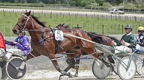 Andre Poutama gives Lindi Lincoln a quiet run at the Pukekohe workouts last Saturday.